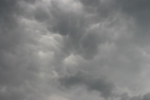 Eifelmammatus0507 033a.jpg